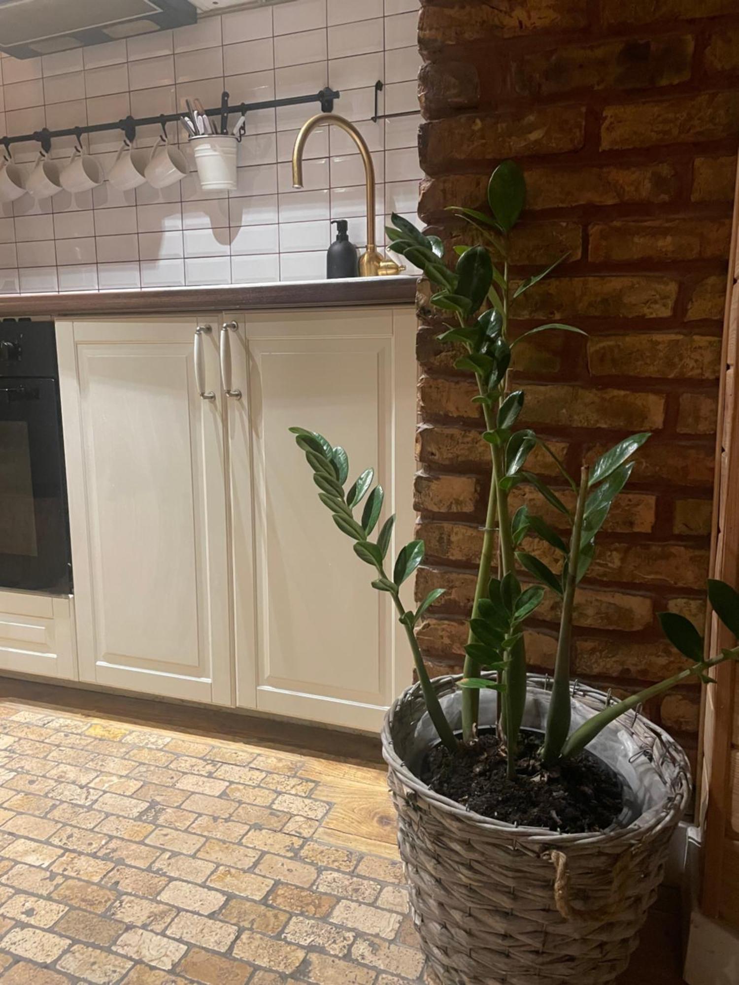 Stebuklas Coliving VNO Exterior foto